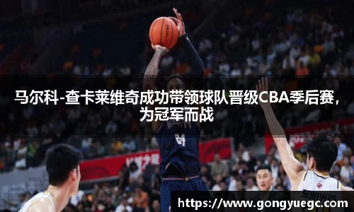 BG视讯