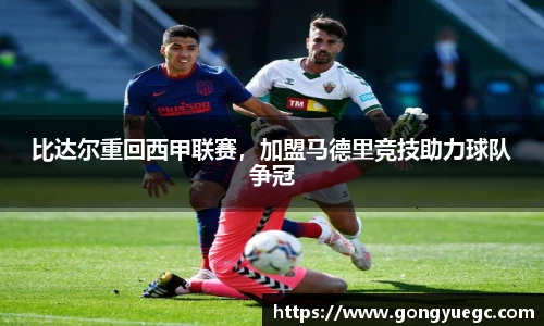 bg视讯官网